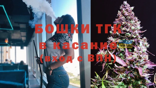 мдпв Волосово