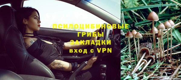 мдпв Волосово