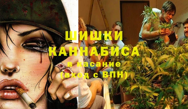 мдпв Волосово