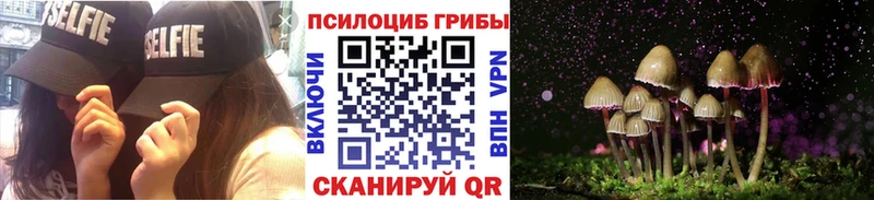 нарко площадка состав  Истра  Псилоцибиновые грибы Cubensis  МЕГА сайт 